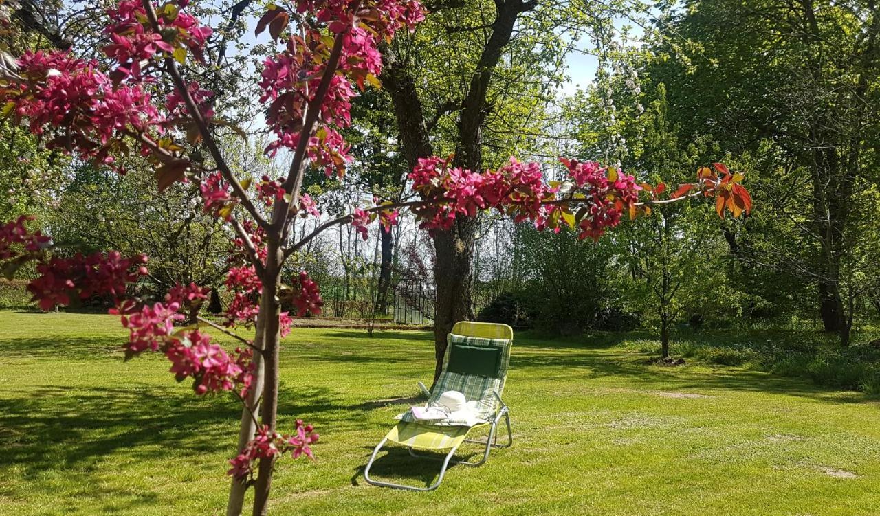 Bed and Breakfast Folwark Goscino-Dwor Экстерьер фото