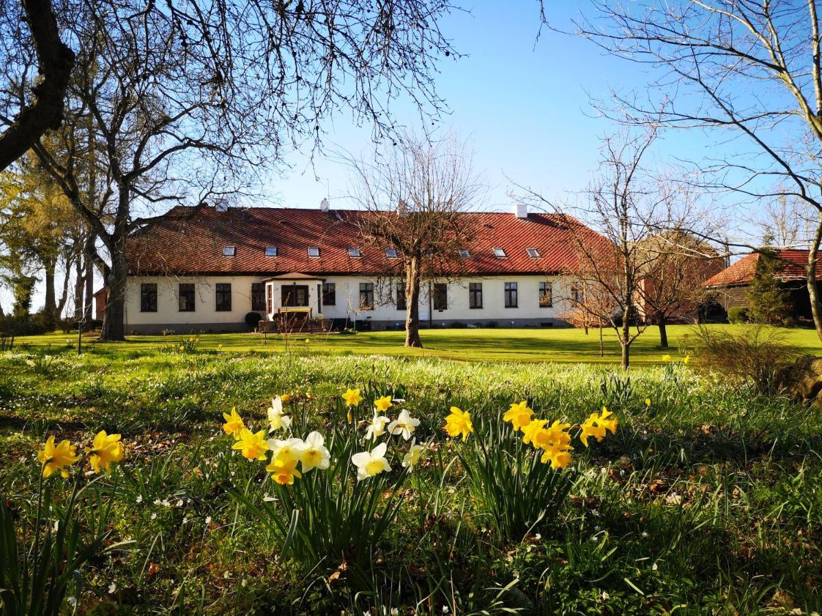 Bed and Breakfast Folwark Goscino-Dwor Экстерьер фото